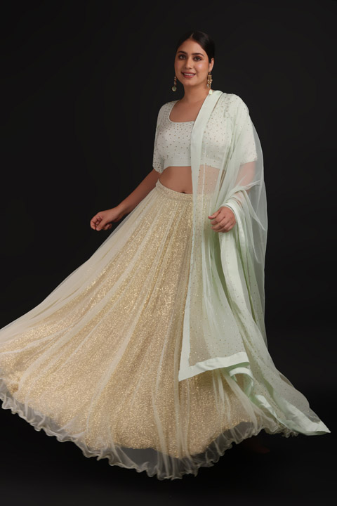 Mint Sequin Sheeted Lehenga
