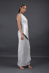 Silver GownIMG_8613