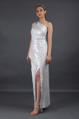 Silver GownIMG_8616