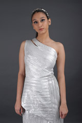 Silver GownIMG_8622