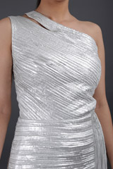 Silver GownIMG_8627