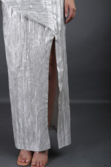 Silver GownIMG_8630