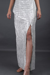 Silver GownIMG_8634