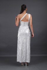 Silver GownIMG_8638