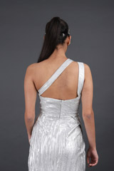 Silver GownIMG_8639