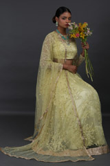 Lemon Yellow Net Lehenga