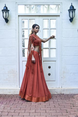 Rust Embellished Lehenga_DSC5761