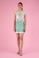 Mint Mini DressDSC09213