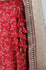 Red Crusting LehengaIMG_9588