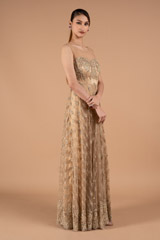 Beige Embroidered GownDSC01657
