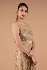 Beige Embroidered GownDSC01659