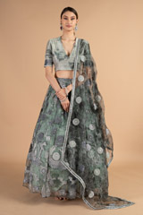 Moon Embroidered LehengaDSC00105
