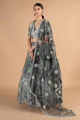 Moon Embroidered Lehenga