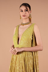 Tail Sleeves Beige AnarkaliDSC01568