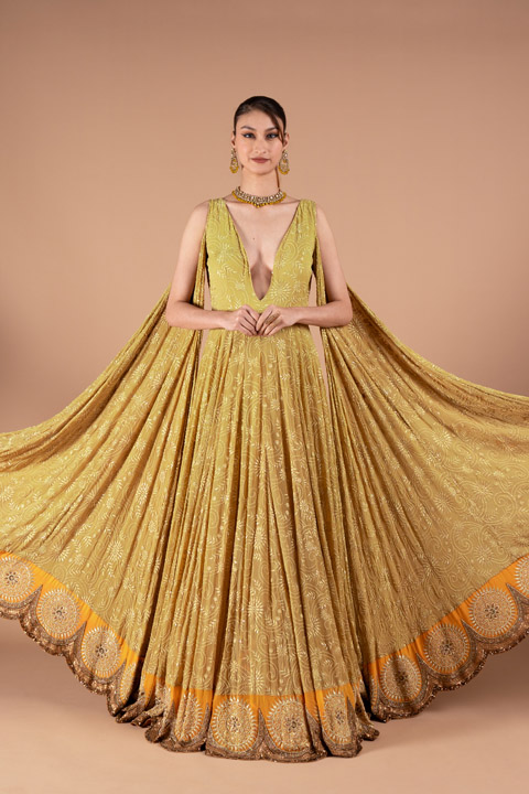 Tail Sleeves Beige Anarkali