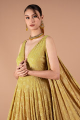 Tail Sleeves Beige AnarkaliDSC01577