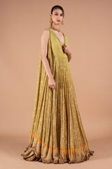 Tail Sleeves Beige AnarkaliDSC01578