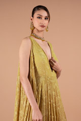 Tail Sleeves Beige AnarkaliDSC01579