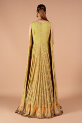 Tail Sleeves Beige AnarkaliDSC01580