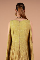 Tail Sleeves Beige AnarkaliDSC01581