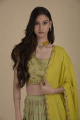 Pista Green Raw Silk Lehenga_SUB7953