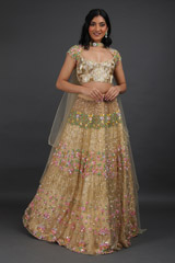 Beige lehengaIMG_6217
