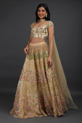 Beige lehengaIMG_6220