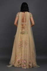 Beige lehengaIMG_6244