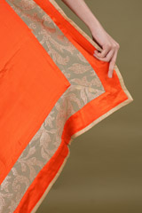 Gold Zari Orange SareeDSC08185