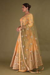 Orange Lehenga With  Dori  WorkDSC08427