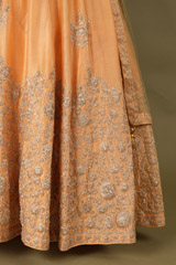 Orange Lehenga With  Dori  WorkDSC08429
