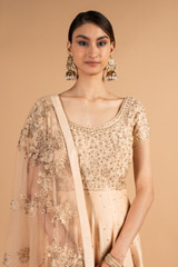Beige Chanderi  AnarkaliDSC00016