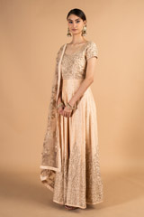 Beige Chanderi  AnarkaliDSC00018