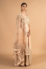 Beige Chanderi  AnarkaliDSC00019