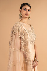 Beige Chanderi  AnarkaliDSC00020