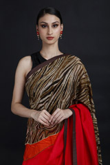 Leopard Print Saree_MG_9358