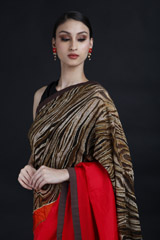 Leopard Print Saree_MG_9359