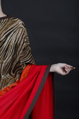 Leopard Print Saree_MG_9363