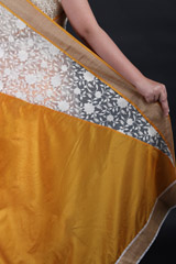 Yellow Lace SareeIMG_9426