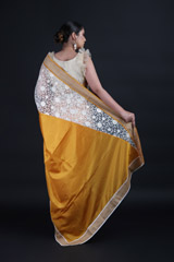Yellow Lace SareeIMG_9430