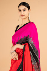 Pink  Red SareeDSC04005