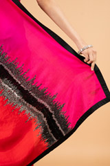 Pink  Red SareeDSC04009