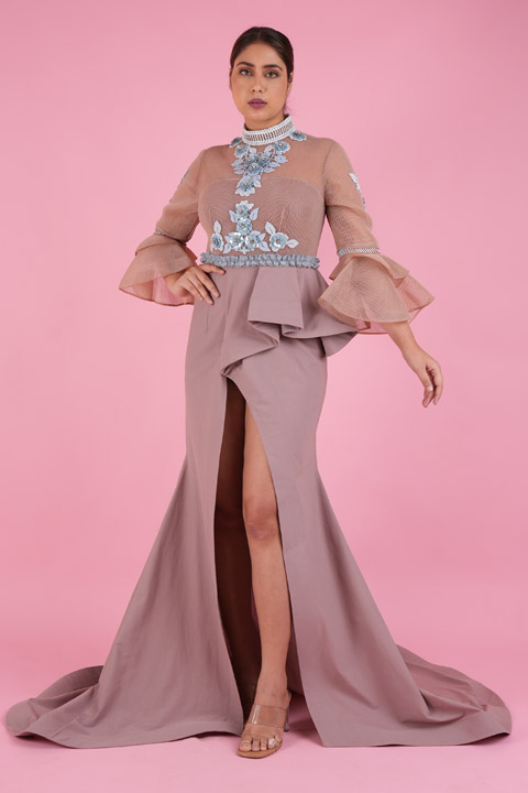 Taupe Gown With Applique work
