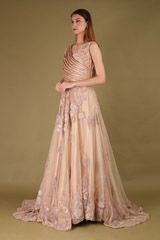 Beige Embroidered GownDSC08116