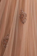 Beige Embroidered GownDSC08120