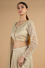 Champagne Embroidered LehengaDSC04320