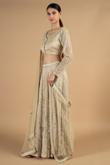 Champagne Embroidered LehengaDSC04321