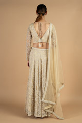 Champagne Embroidered LehengaDSC04327