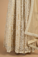 Champagne Embroidered LehengaDSC04329