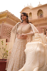 Champagne Embroidered LehengaDSC06044